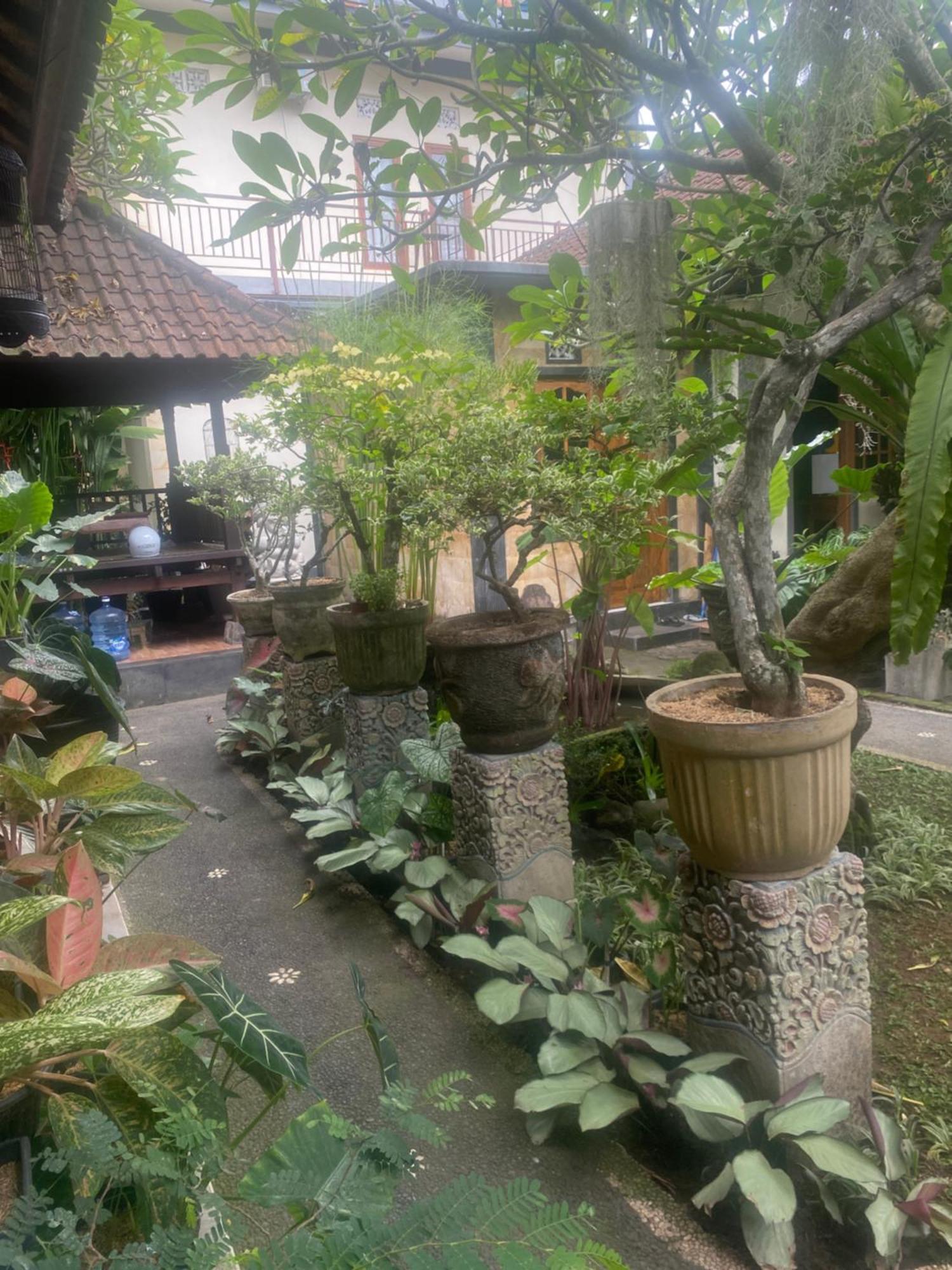 Gus Arditya Homestay Ubud Eksteriør billede