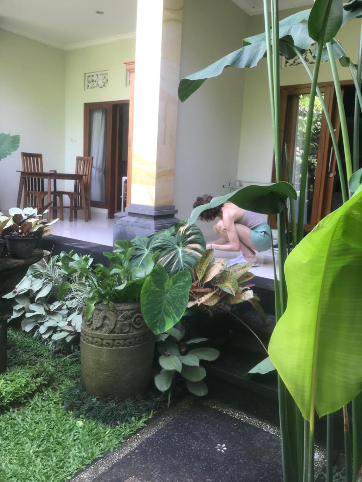 Gus Arditya Homestay Ubud Eksteriør billede